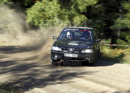 Rejmerallyt 2004