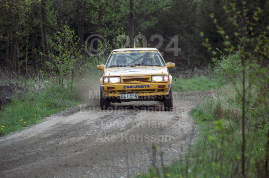 South Swedish Rally 1989