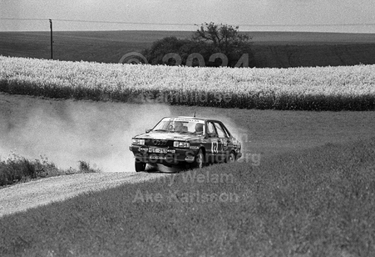 South Swedish Rally 1989