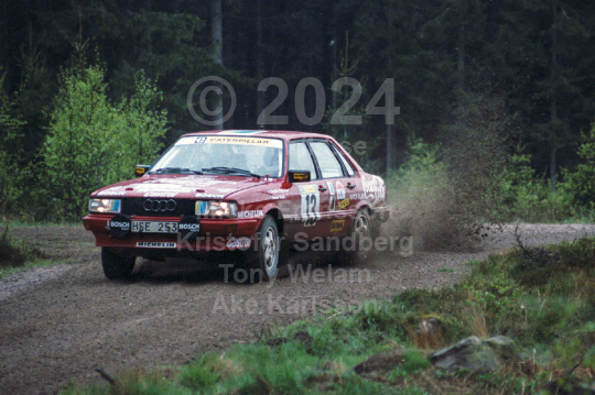 South Swedish Rally 1989