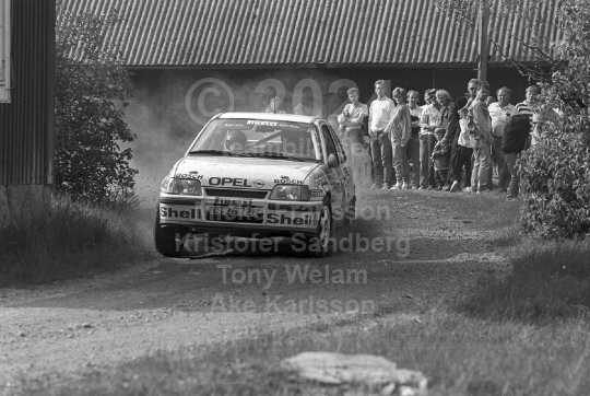 South Swedish Rally 1990